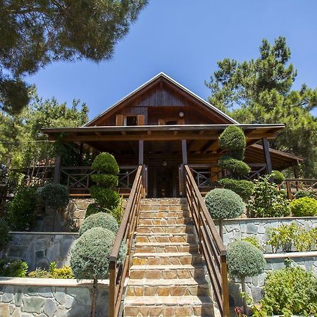 Ricky Chalet Near Troodos Spilia Buitenkant foto