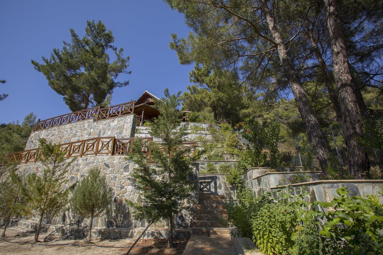Ricky Chalet Near Troodos Spilia Buitenkant foto