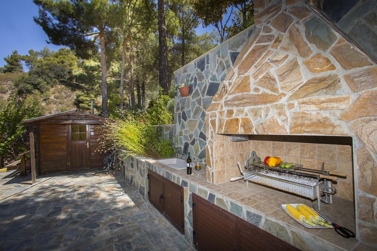 Ricky Chalet Near Troodos Spilia Buitenkant foto