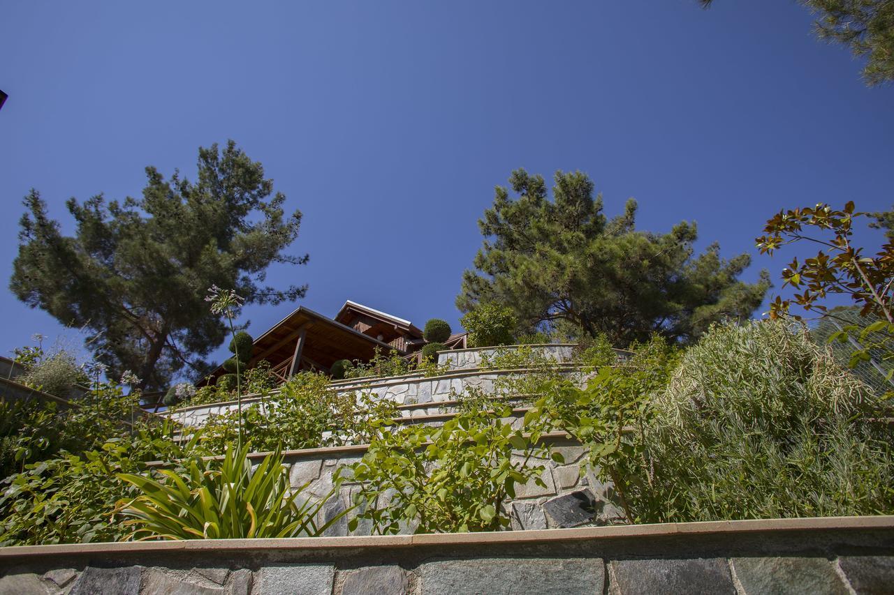 Ricky Chalet Near Troodos Spilia Buitenkant foto