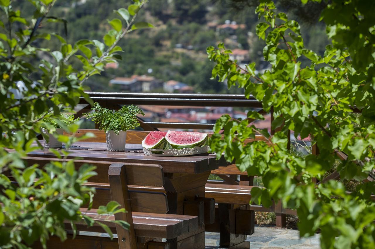 Ricky Chalet Near Troodos Spilia Buitenkant foto