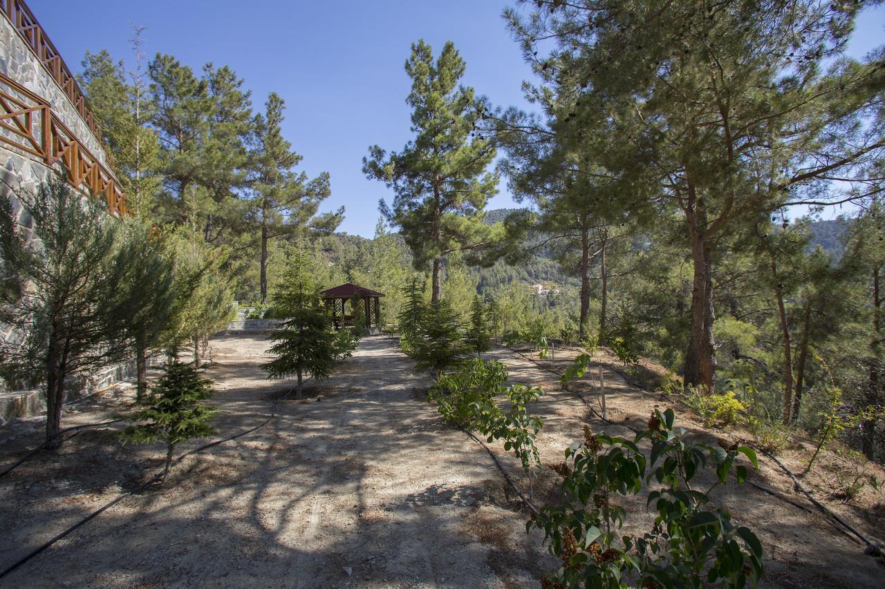 Ricky Chalet Near Troodos Spilia Buitenkant foto