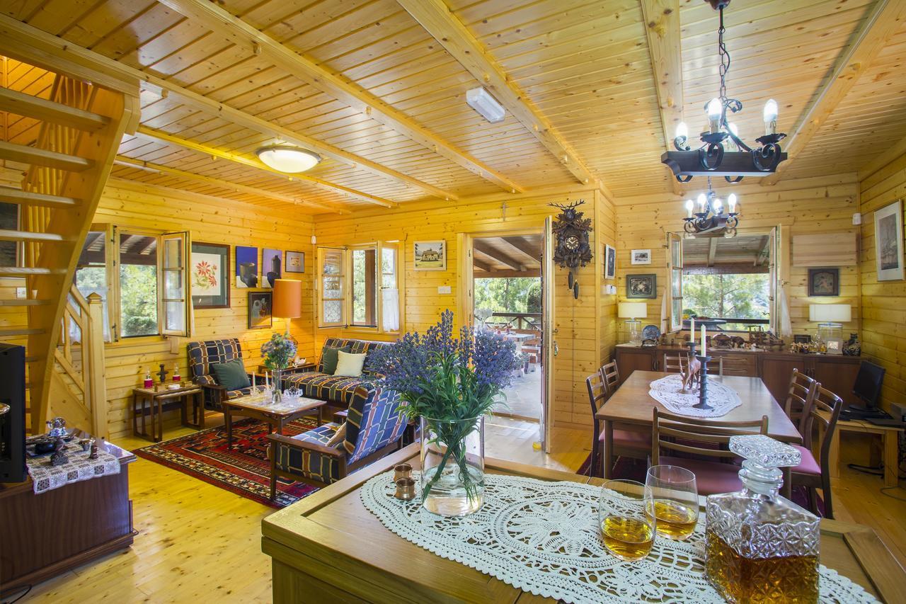 Ricky Chalet Near Troodos Spilia Buitenkant foto