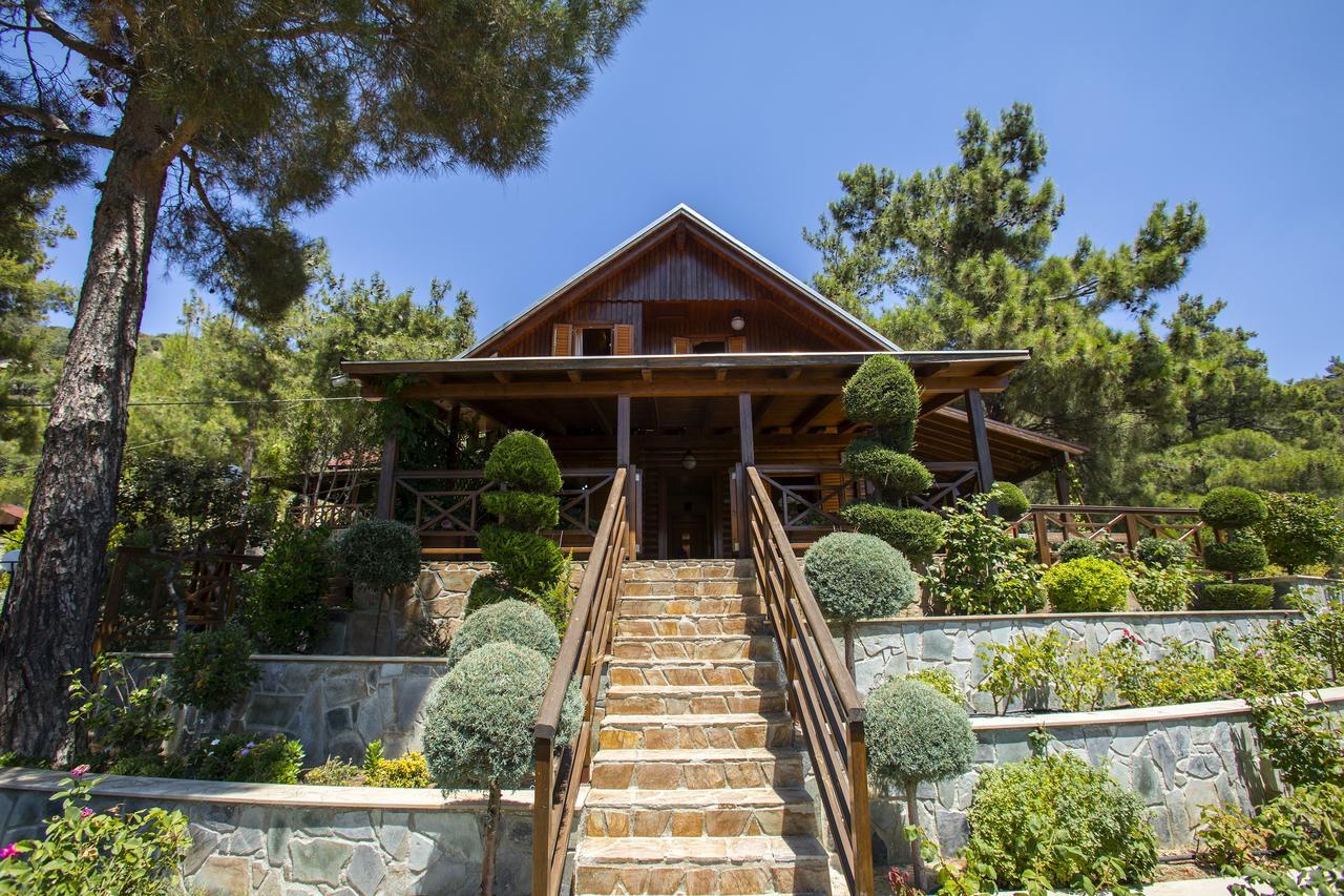 Ricky Chalet Near Troodos Spilia Buitenkant foto