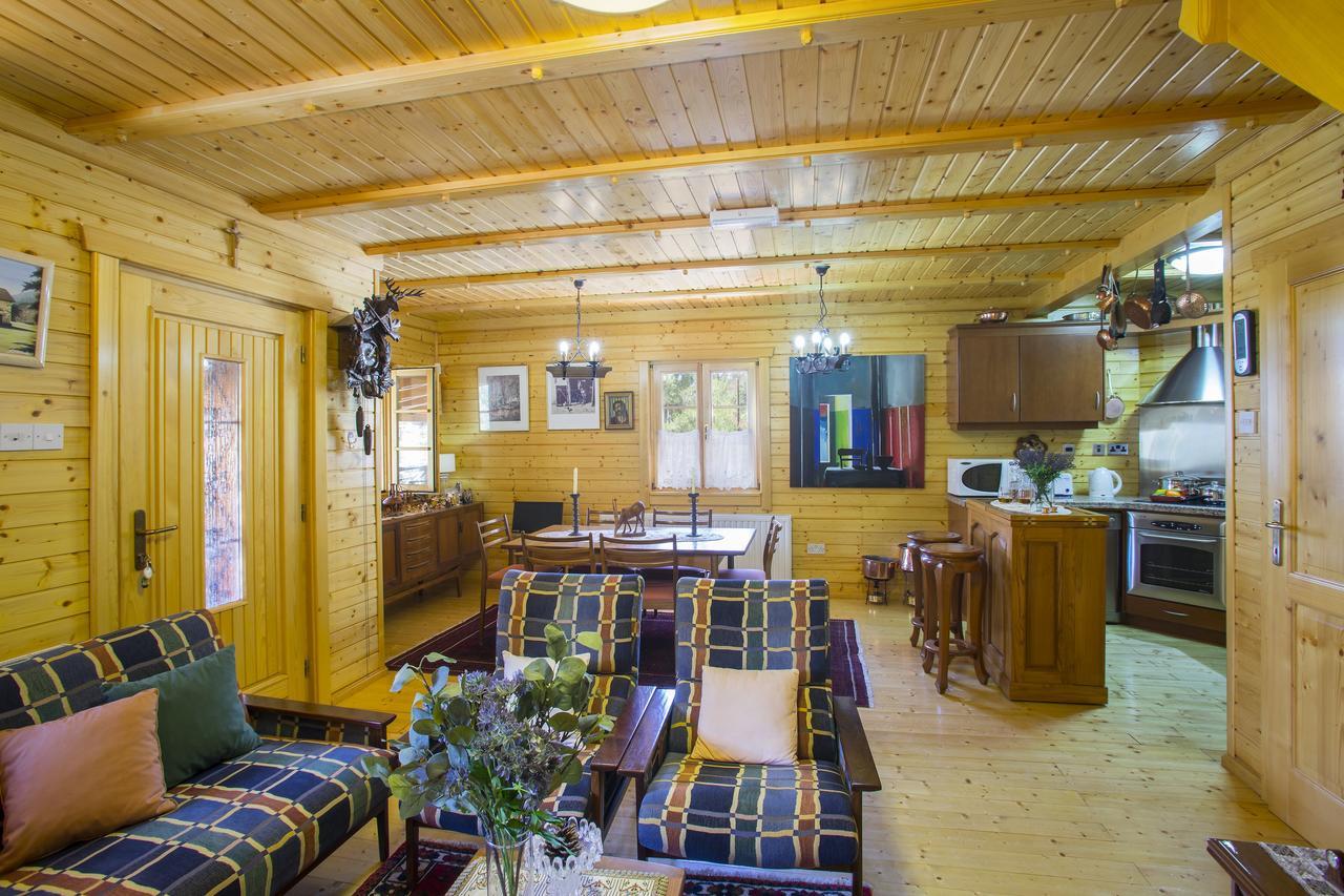 Ricky Chalet Near Troodos Spilia Buitenkant foto