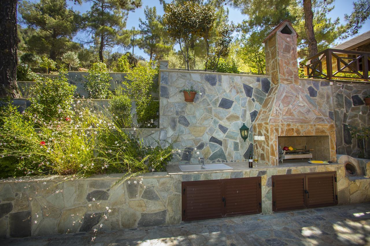 Ricky Chalet Near Troodos Spilia Buitenkant foto