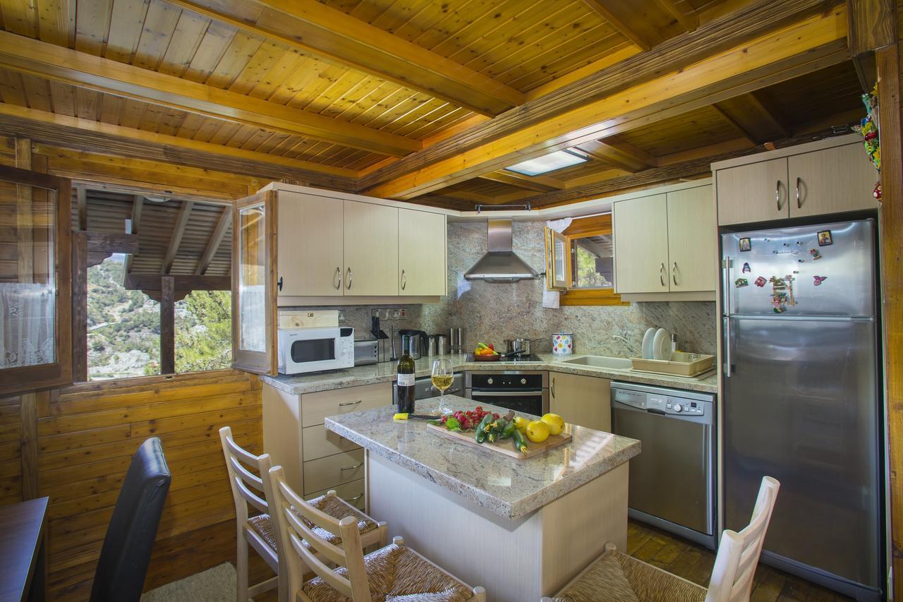 Ricky Chalet Near Troodos Spilia Buitenkant foto