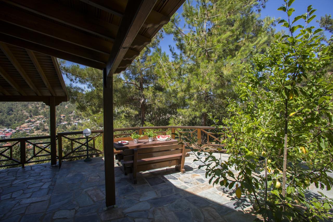Ricky Chalet Near Troodos Spilia Buitenkant foto