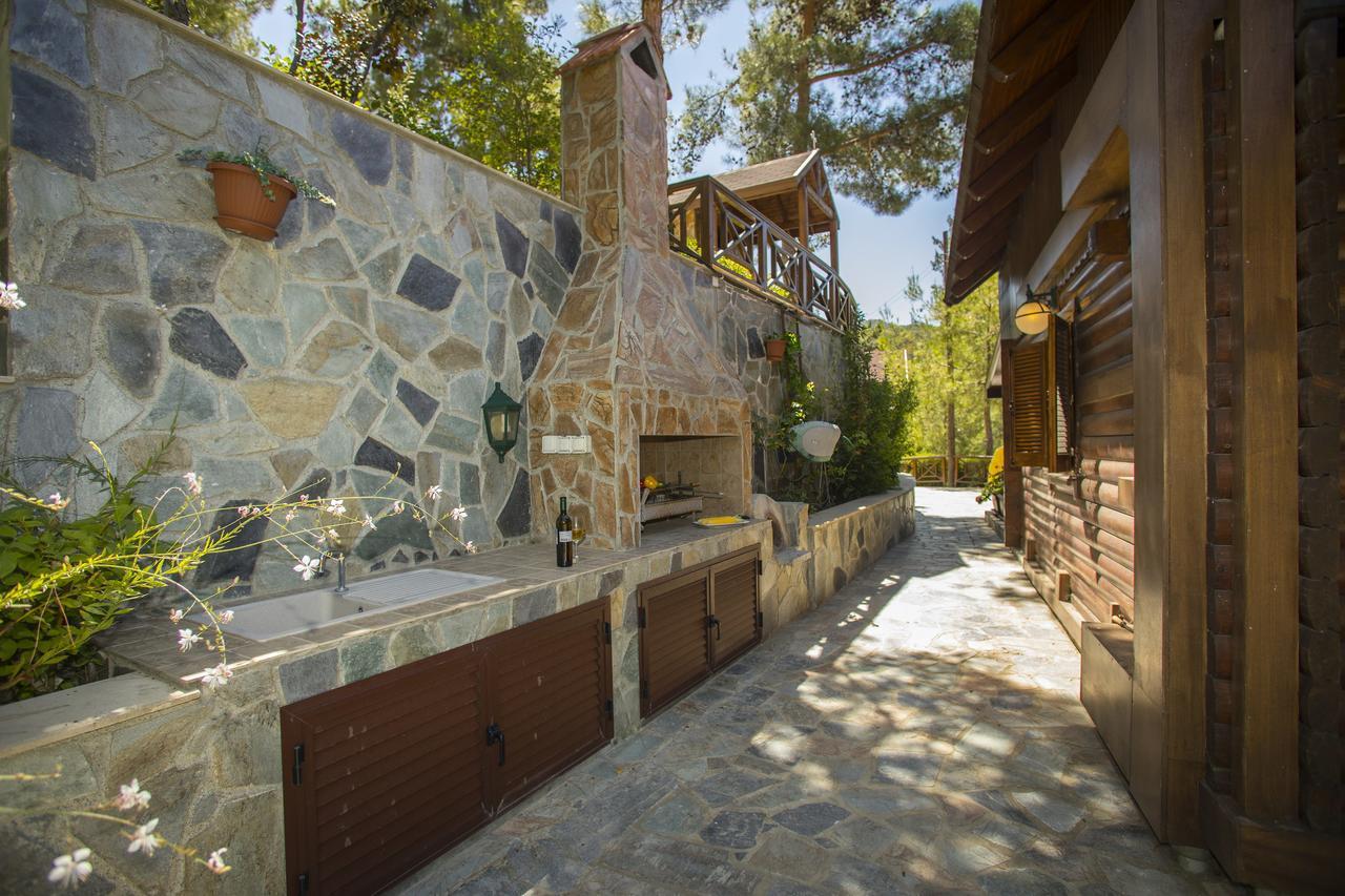Ricky Chalet Near Troodos Spilia Buitenkant foto